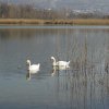 Lago di Annone